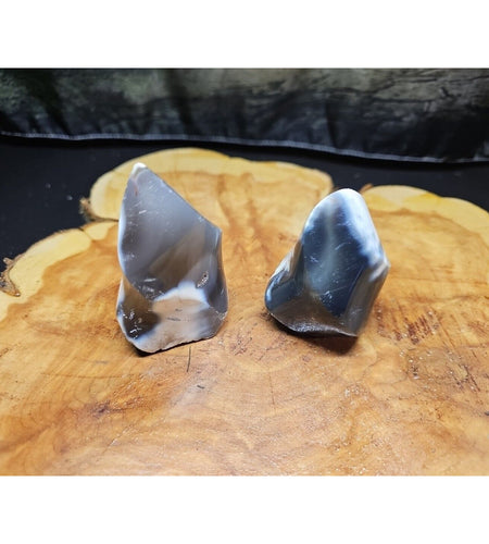 2Pcs Natural Orca Agate Killer Whale Carnelian Crystal Flame Point Healing