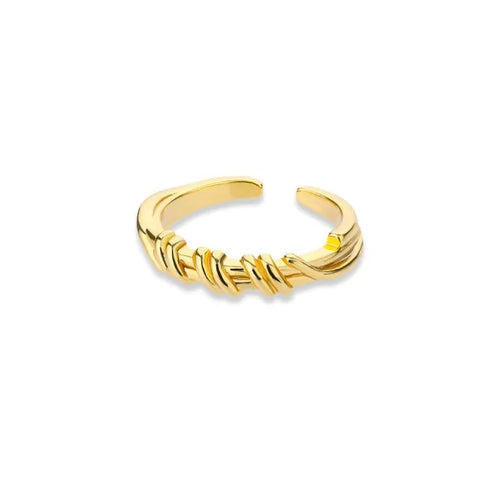 Load image into Gallery viewer, Ring Jewelry Collection
