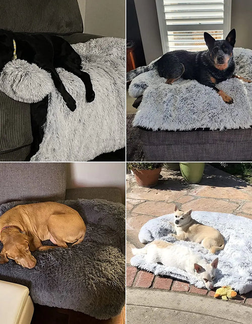 Load image into Gallery viewer, Pet Dog Bed Cushion
