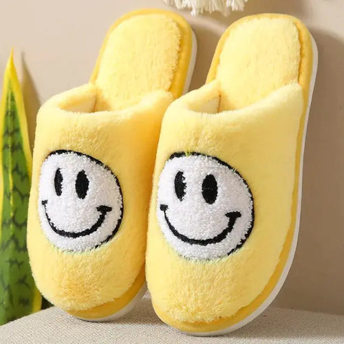 Load image into Gallery viewer, Funny Cute Winter Warm Floor House Home Shoes Female
