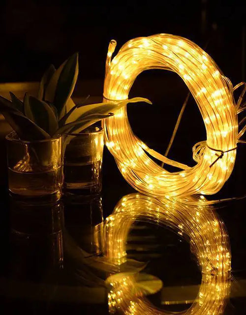 Load image into Gallery viewer, 33FT 100 LED Strip Rope Light Tube String Outdoor Garden Party Decoration Lights
