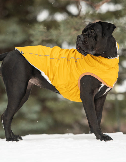 Load image into Gallery viewer, Insulated Raincoat - Yellow
