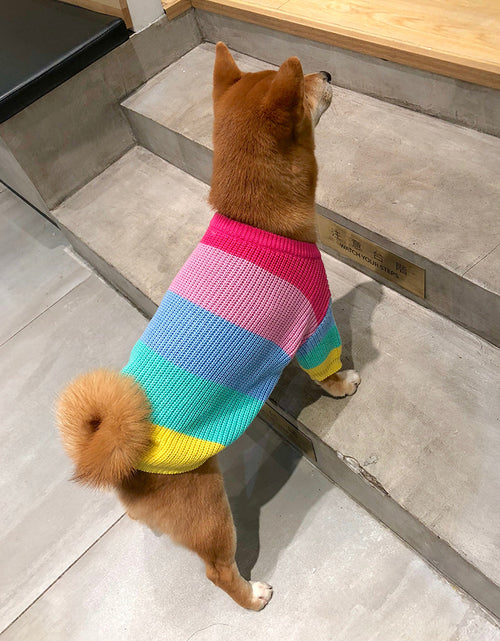 Load image into Gallery viewer, Puppy Knitted Rainbow Sweater
