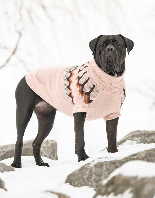 Load image into Gallery viewer, Heritage Sweater - Pink
