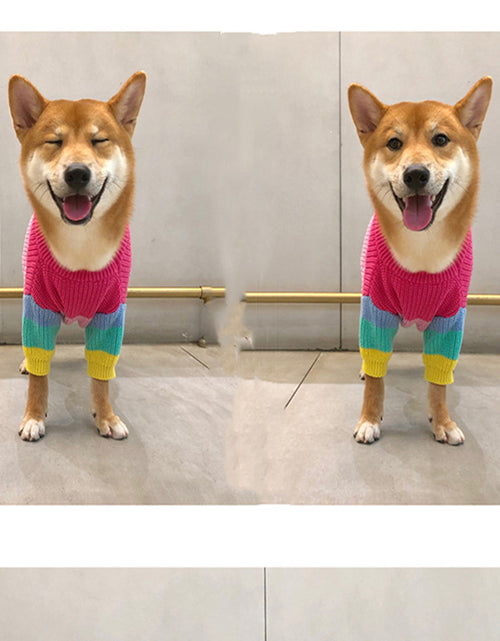 Load image into Gallery viewer, Puppy Knitted Rainbow Sweater
