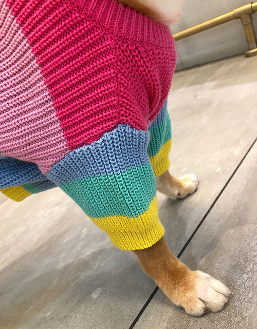 Load image into Gallery viewer, Puppy Knitted Rainbow Sweater
