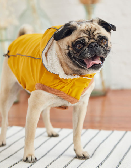 Load image into Gallery viewer, Insulated Raincoat - Yellow
