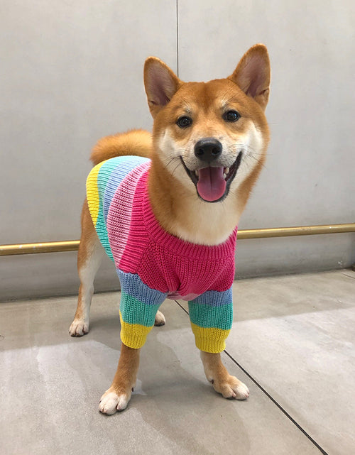 Load image into Gallery viewer, Puppy Knitted Rainbow Sweater
