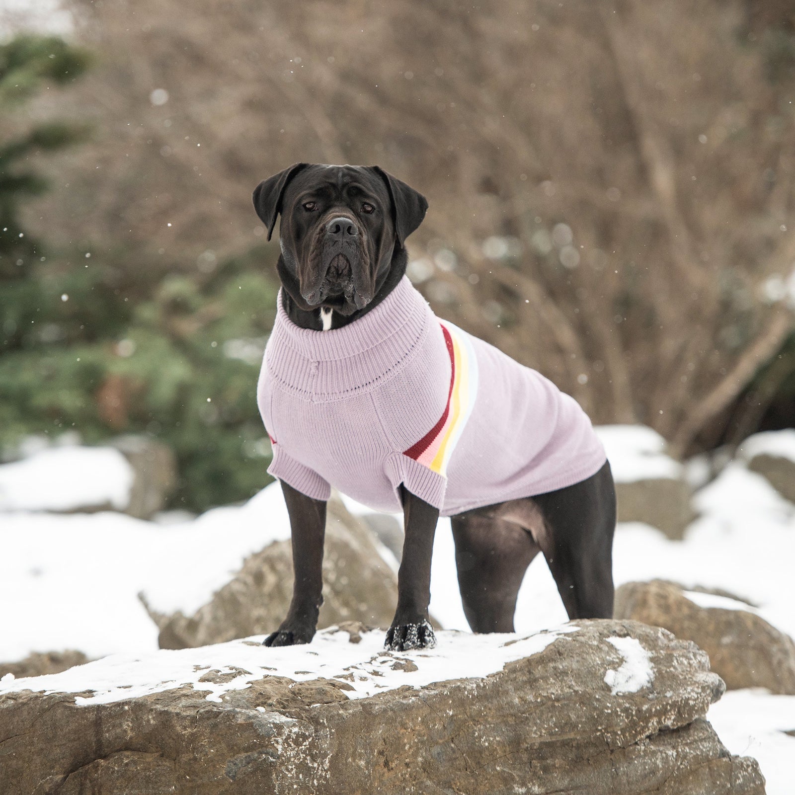 Retro Sweater - Lavender